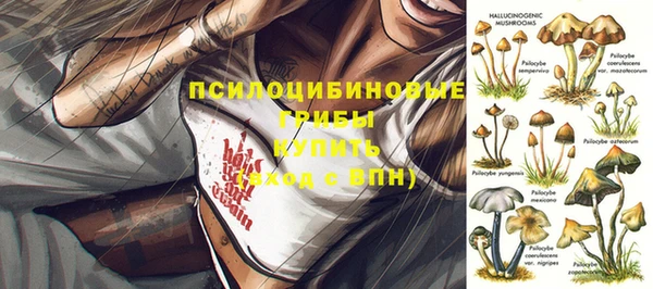 МДПВ Балахна