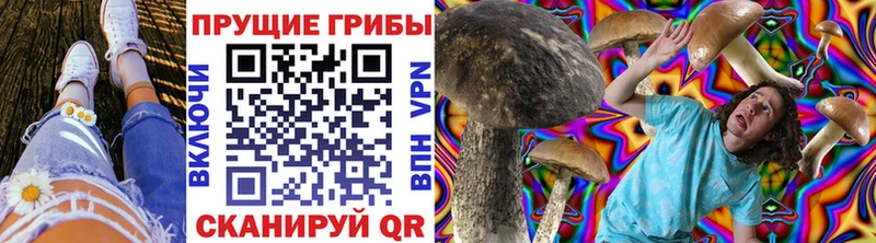 Галлюциногенные грибы MAGIC MUSHROOMS  blacksprut онион  Белёв  где купить наркотик 